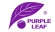Purple Leaf DE